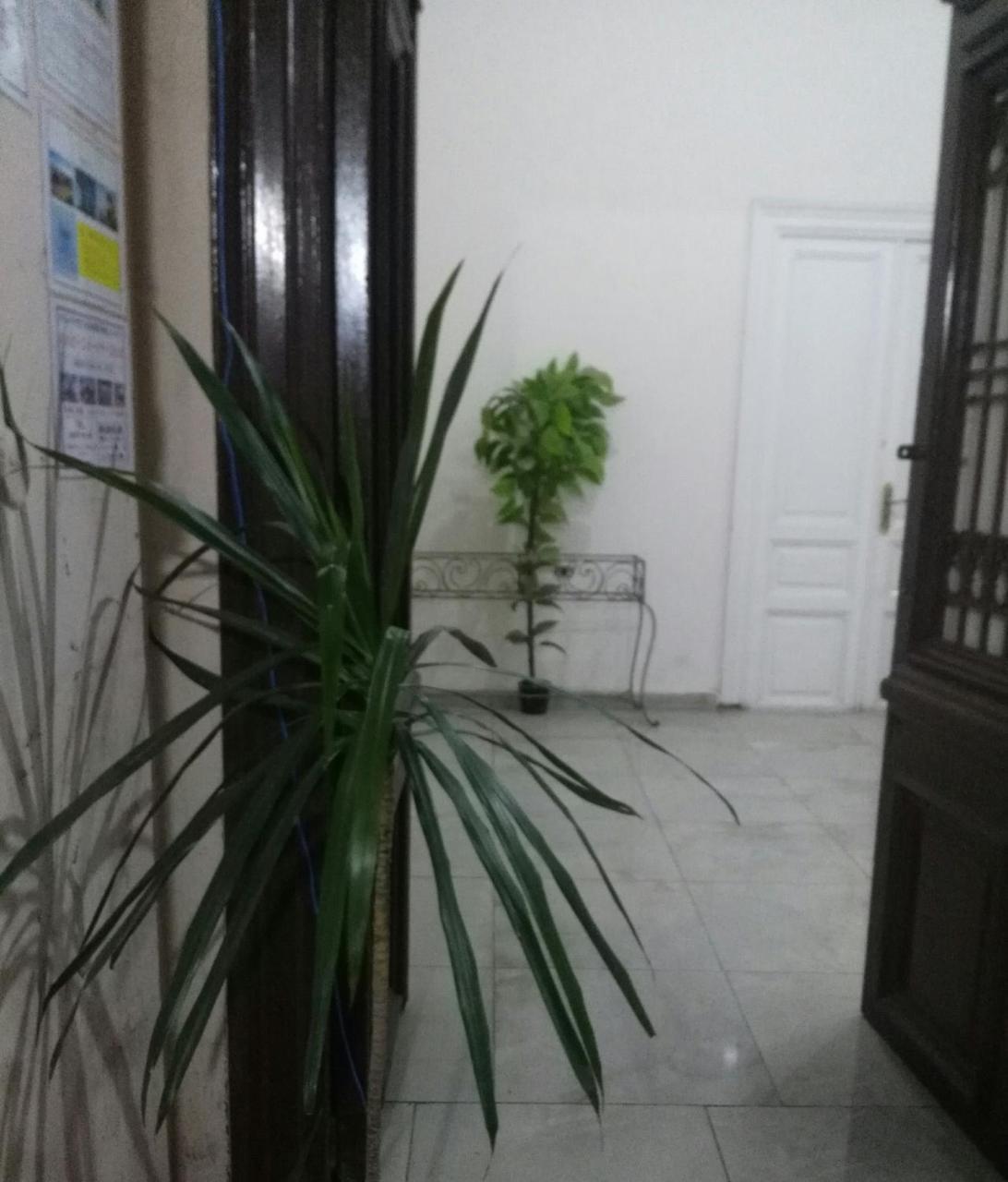 קהיר Safary Hostel מראה חיצוני תמונה